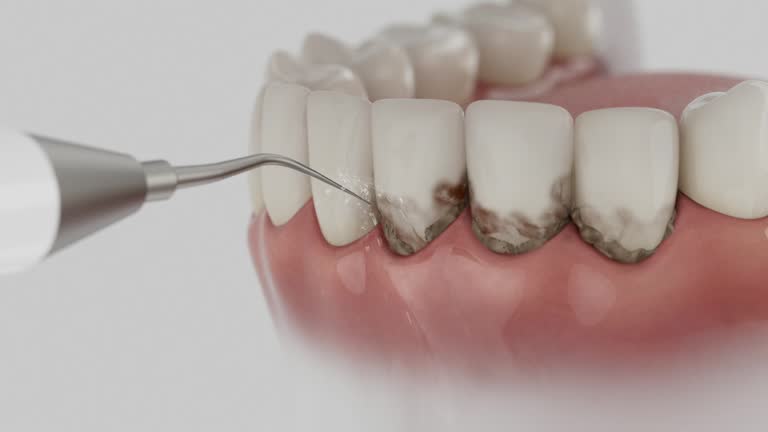 Reliable Dental contractor in Olivet, MI by Dentist Open Now